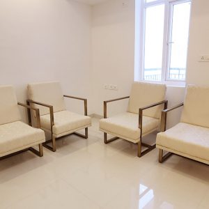 Soft Home Chair